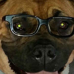 Meet your Posher, Sam